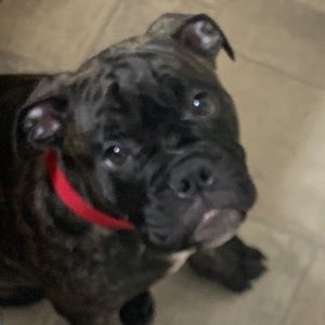 Meet your Posher, Tylor